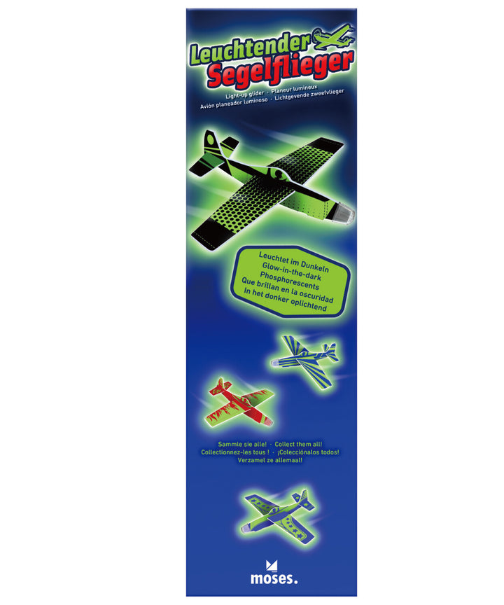 moses. / 光るグライダー おもちゃ 飛行機 蛍光ペイント アウトドア